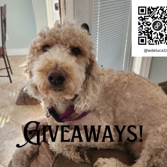 LIVE SHARE SHOWS - Picture 5 of 7